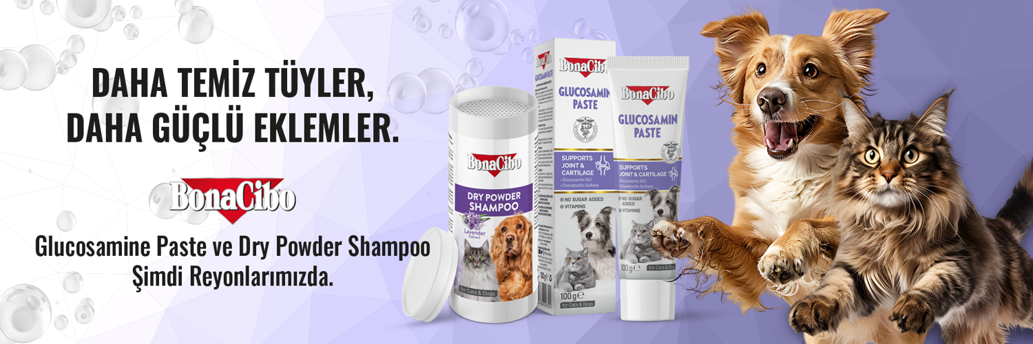 Yeni ürün glokozamin drypowder