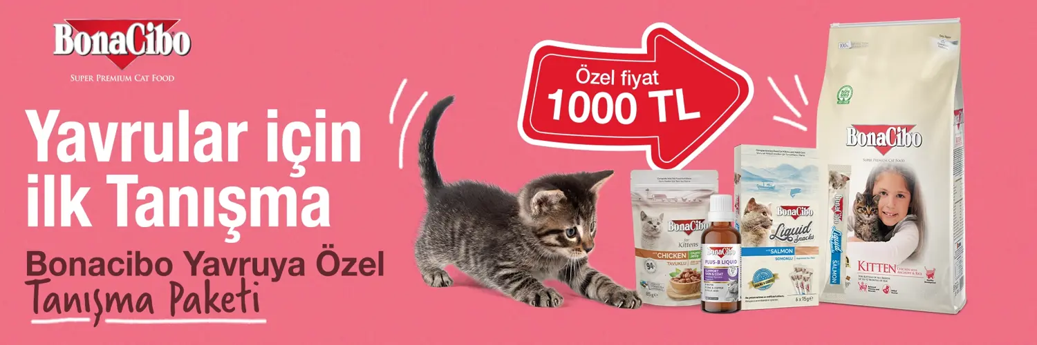 Kitten Yeni Tanışma Paketi
