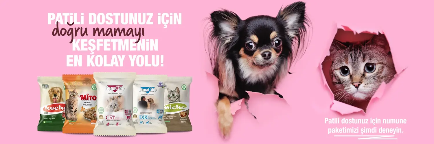 Numune Talep