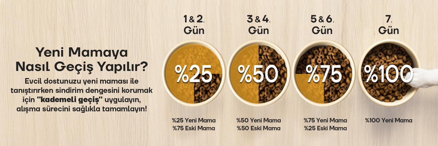 Mama gecisi