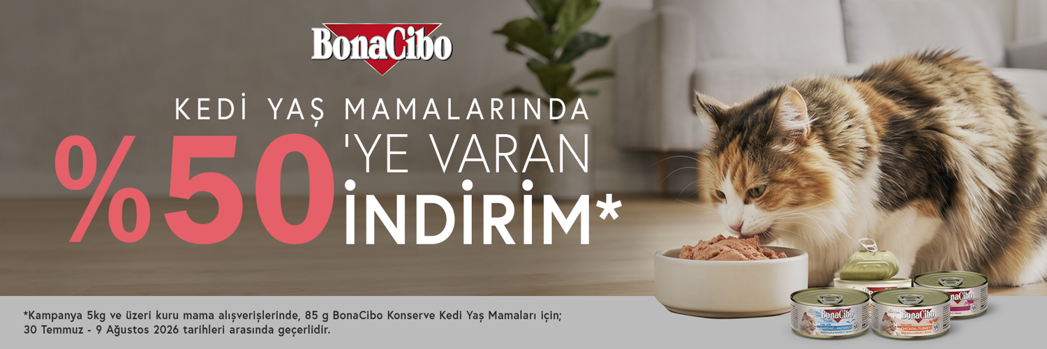 bc ezme kedi mama