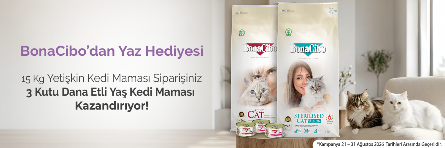 bc yaz günleri