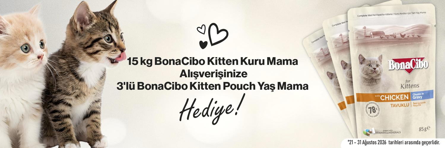 bc kitten hediye