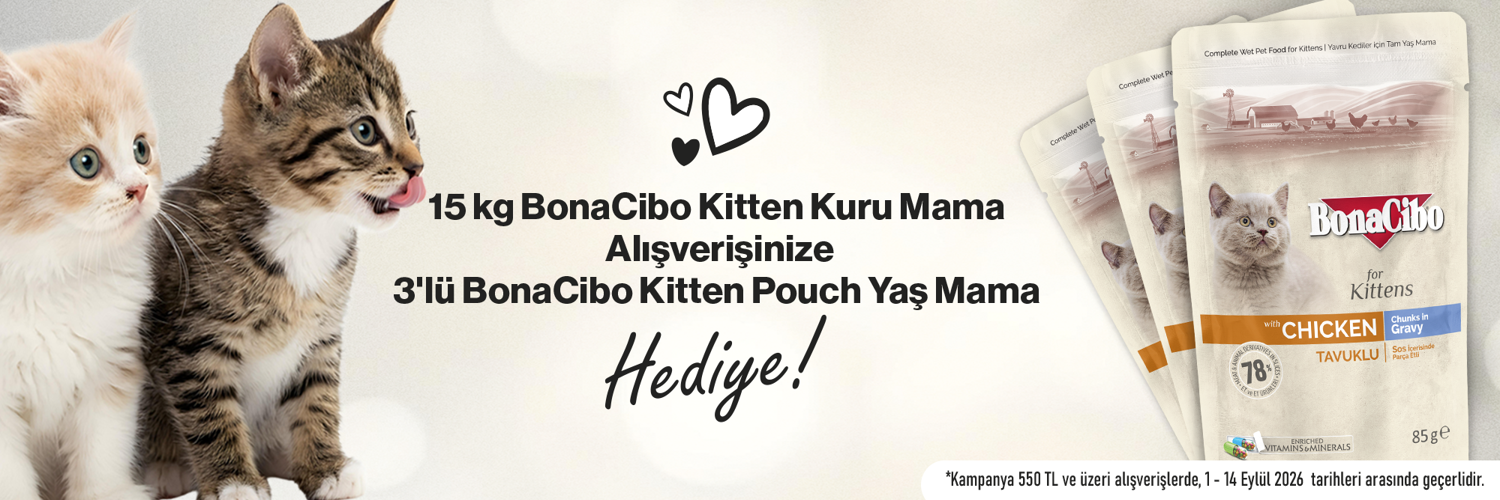 3lu kitten pouch