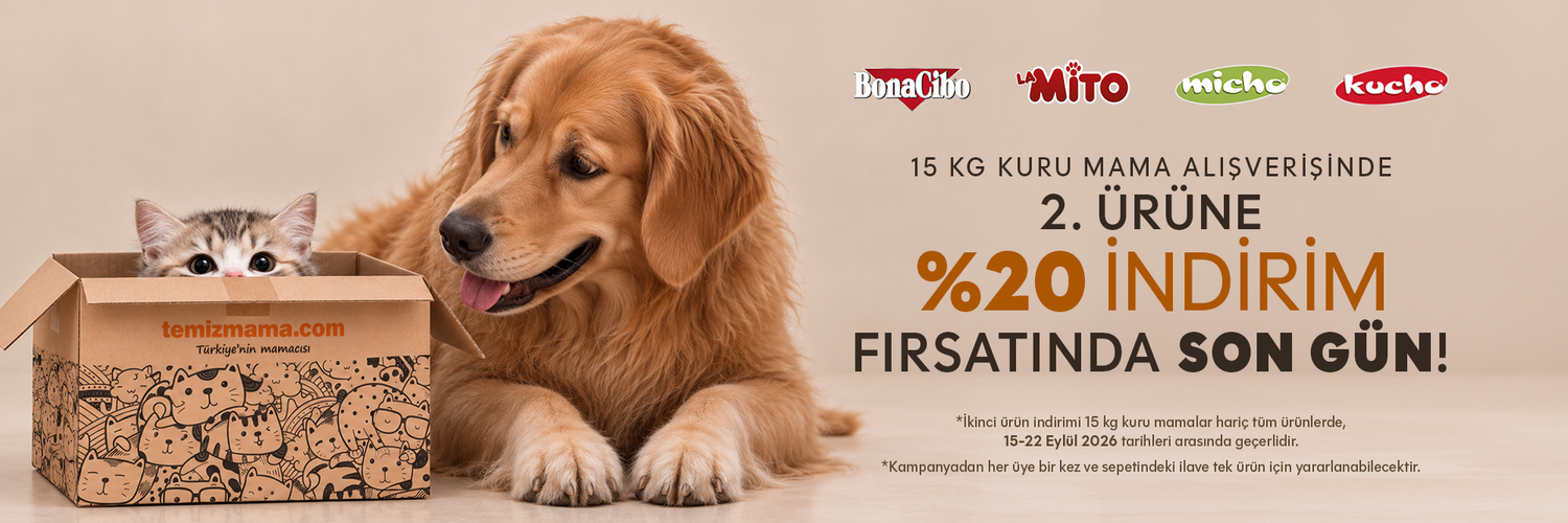 %20 son gün