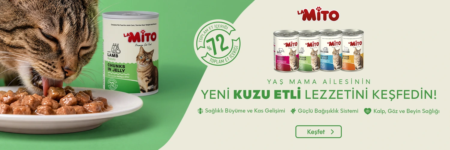 LaMito Yaş Mama