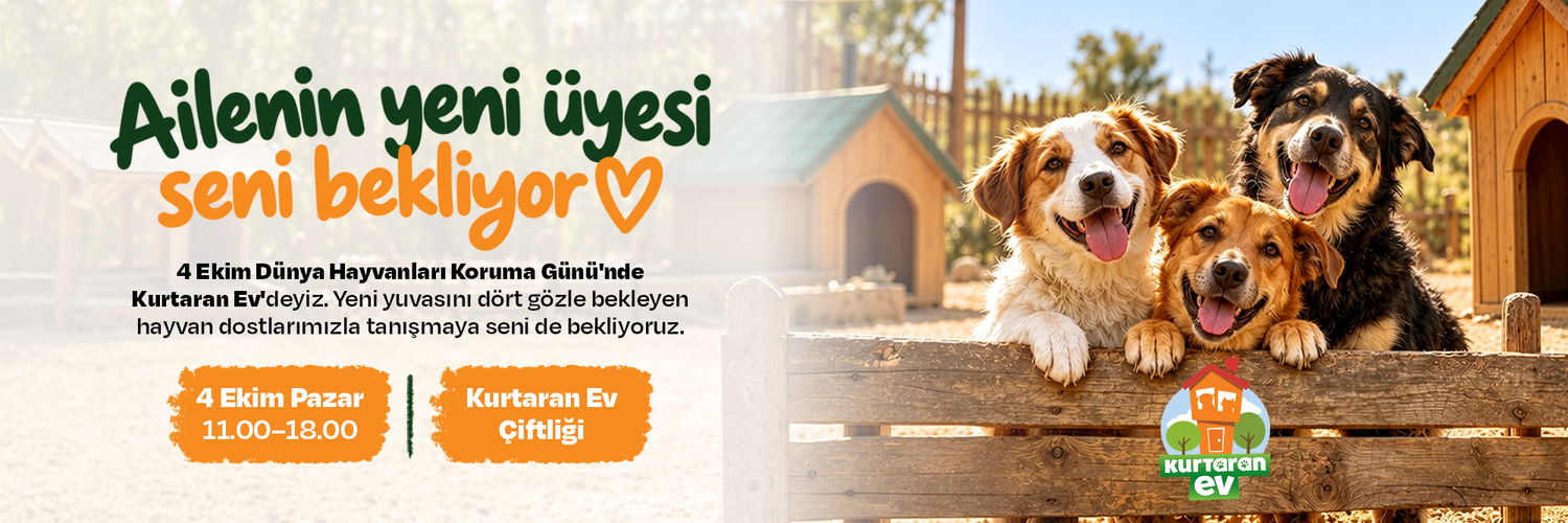 Temizmama Kedi & Köpek Oyuncakları