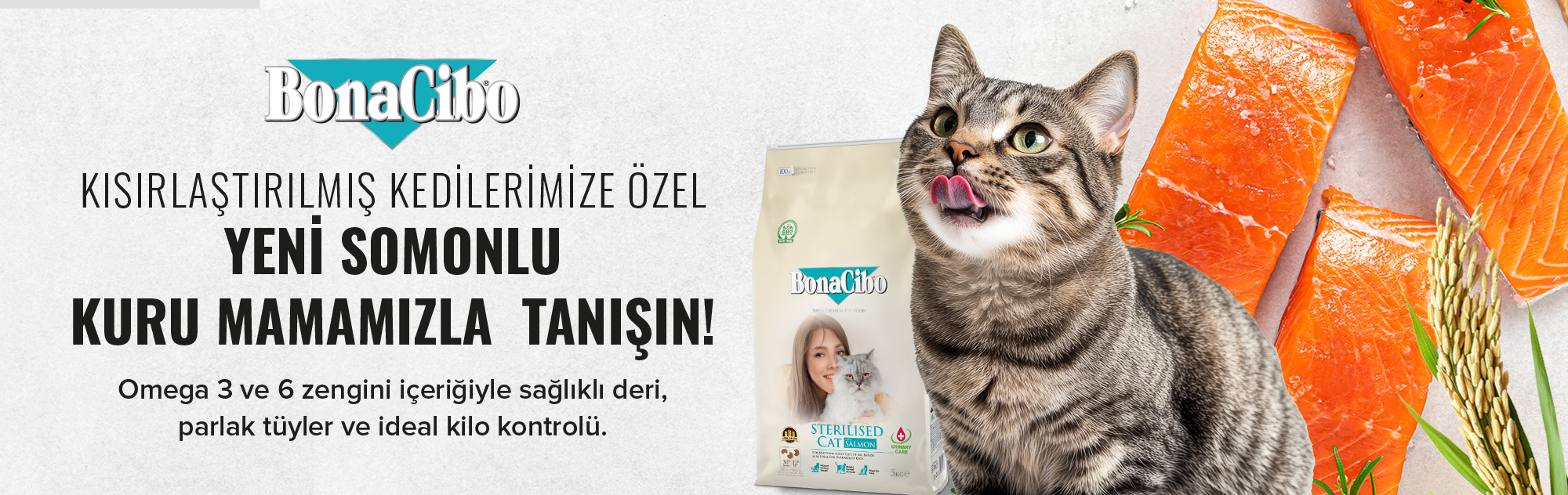 Bonacibo Yeni Somonlu Kısırlaştırılmış Kuru Mama