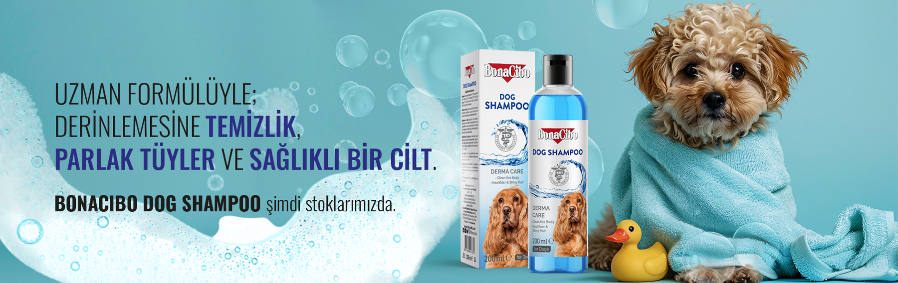 Yeni Şampuan