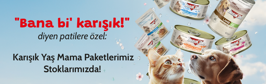 Yeni Karışık Paketler