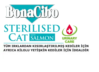 BonaCibo Adult Cat Sterilised Somonlu BonaCibo Adult Cat Sterilised Somonlu