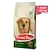 Kucho Adult Dog Lamb 15 Kg Kuzu Etli Yetişkin Köpek Maması