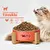 LaMito Adult Cat 1 Kg x 10 Adet Tavuklu Yetişkin Kedi Maması
