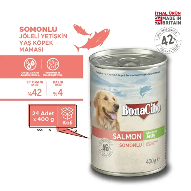 BonaCibo Jöleli Somonlu Yaş Yetişkin Köpek Maması 400 gr x 24 Adet Sos içerisinde parça etli Yetişkin Köpek Maması