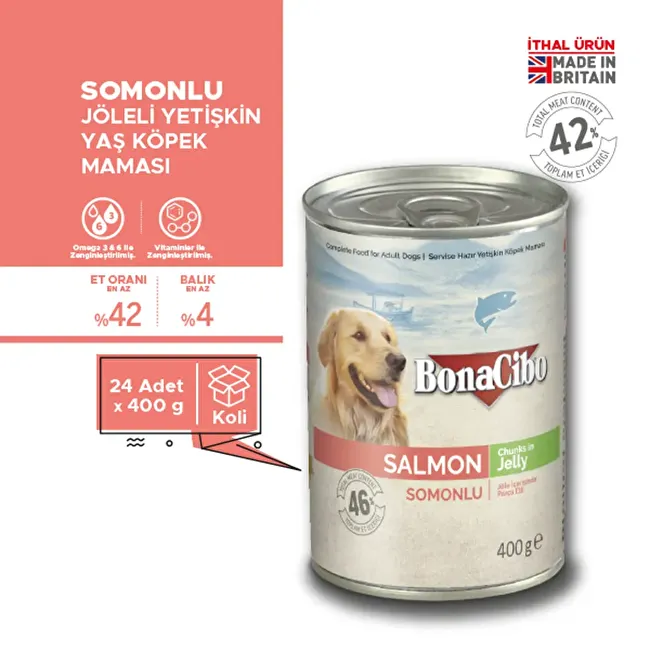 BonaCibo Jöleli Somonlu Yaş Yetişkin Köpek Maması 400 gr x 24 Adet Sos içerisinde parça etli Yetişkin Köpek Maması