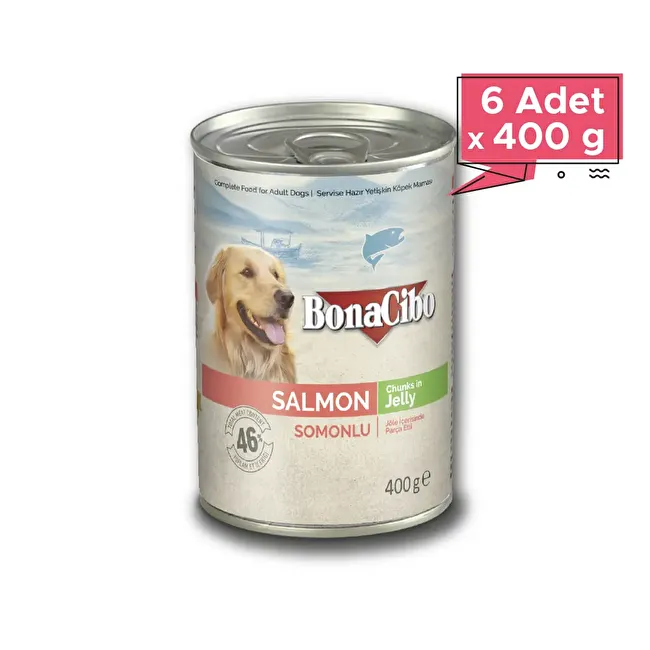 BonaCibo Jöleli Somonlu Yaş Yetişkin Köpek Maması 400 gr x 6 Adet Sos içerisinde parça etli Yetişkin Köpek Maması