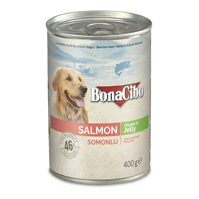 BonaCibo Jöleli Somonlu Yaş Yetişkin Köpek Maması 400 gr x 6 Adet